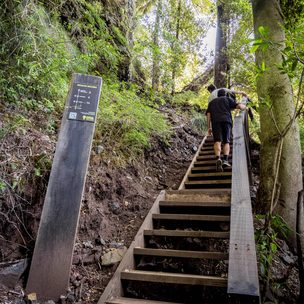 Aventura y Descanso en Panguipulli Sietelagos - 3 días / 2 noches