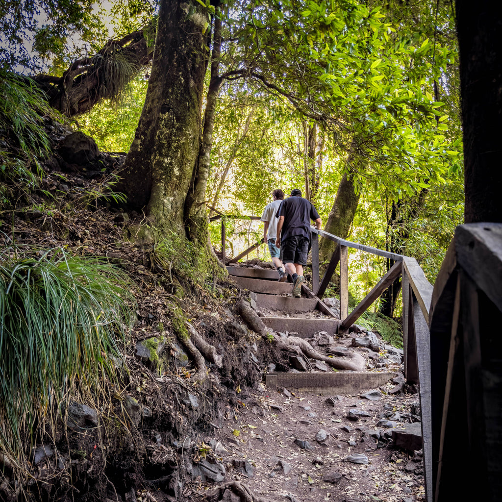 Aventura y Descanso en Panguipulli Sietelagos - 3 días / 2 noches