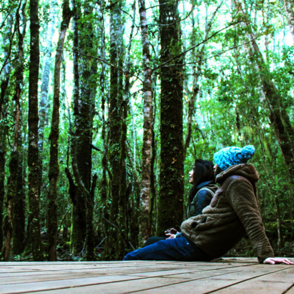 Millennial Forest Cabins, Cabins for 2 people - Coñaripe