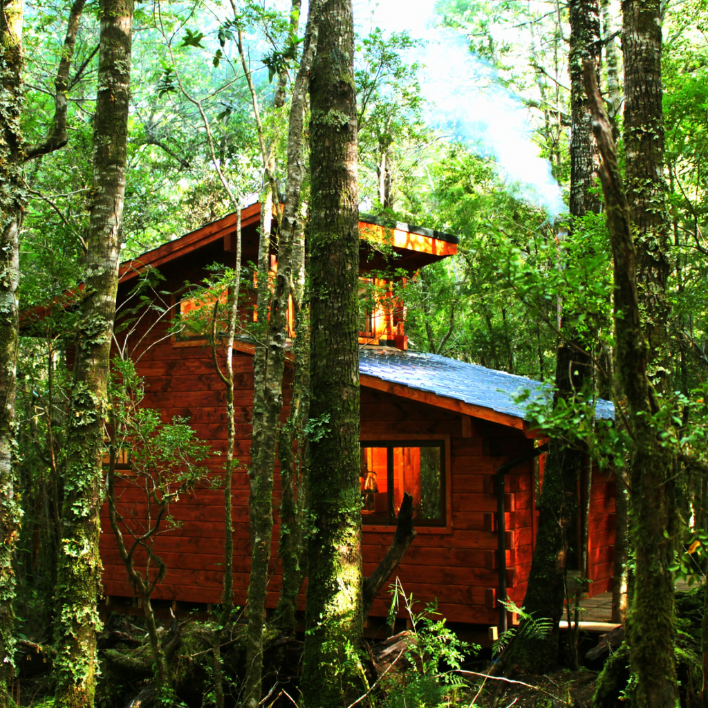 Millennial Forest Cabins, Cabins for 2 people - Coñaripe