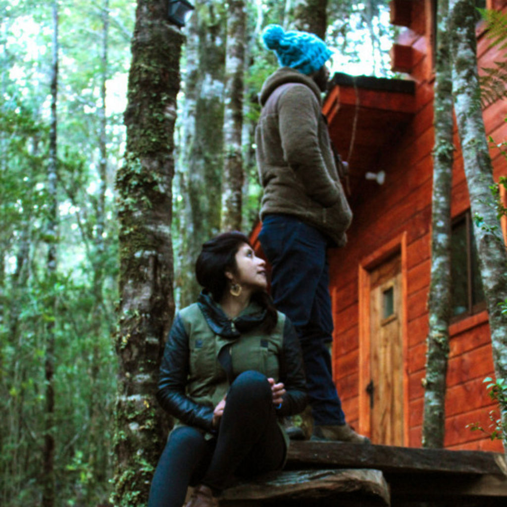 Millennial Forest Cabins, Cabins for 2 people - Coñaripe