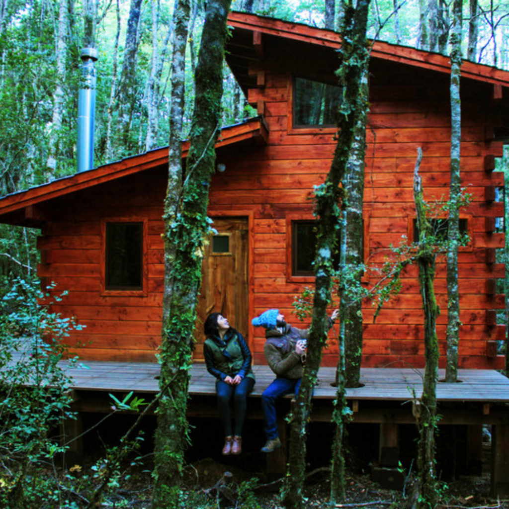 Millennial Forest Cabins, Cabins for 2 people - Coñaripe
