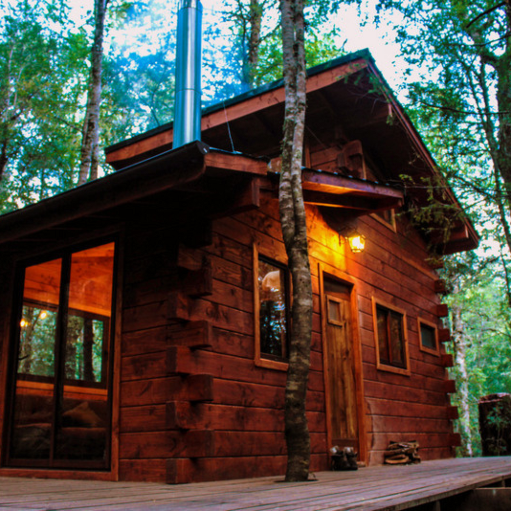 Millennial Forest Cabins, Cabins for 2 people - Coñaripe