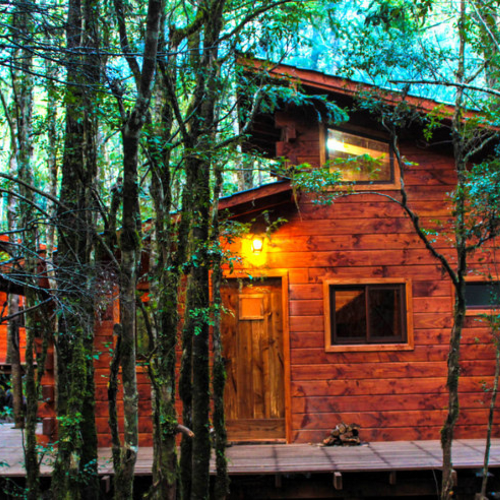 Millennial Forest Cabins, Cabins for 2 people - Coñaripe