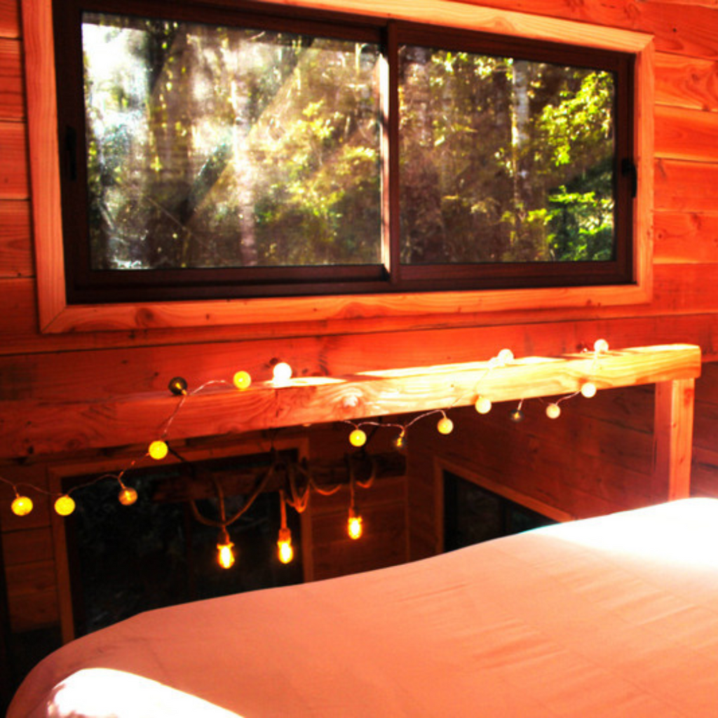 Millennial Forest Cabins, Cabins for 2 people - Coñaripe