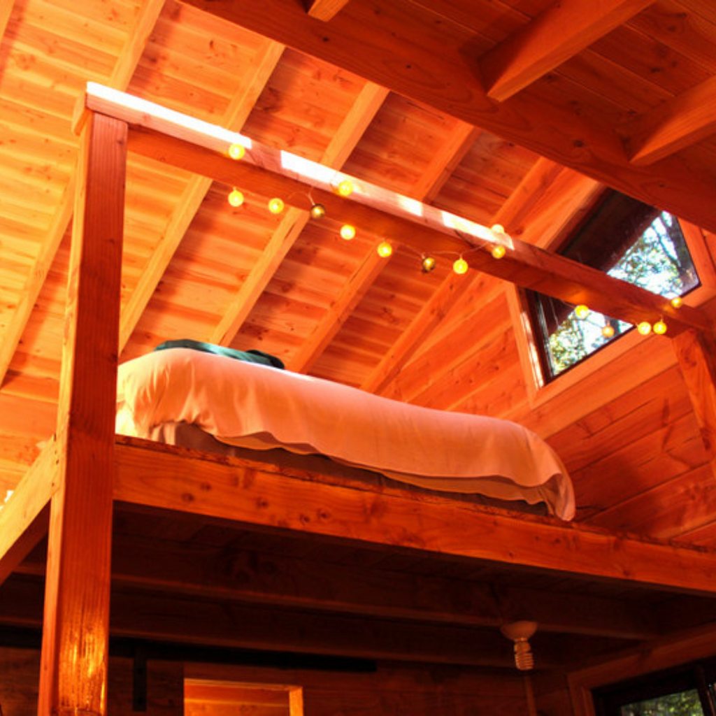 Millennial Forest Cabins, Cabins for 2 people - Coñaripe