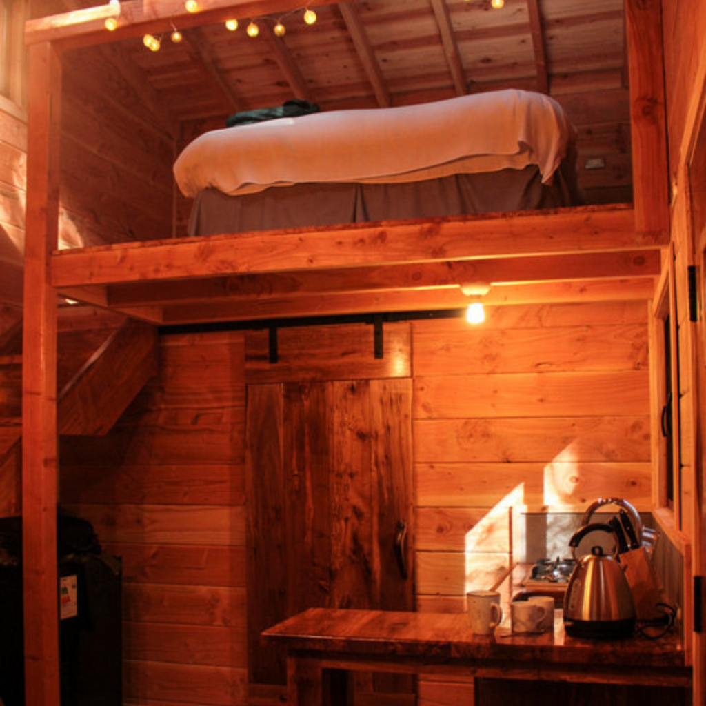 Millennial Forest Cabins, Cabins for 2 people - Coñaripe