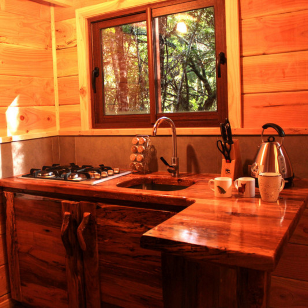 Millennial Forest Cabins, Cabins for 2 people - Coñaripe