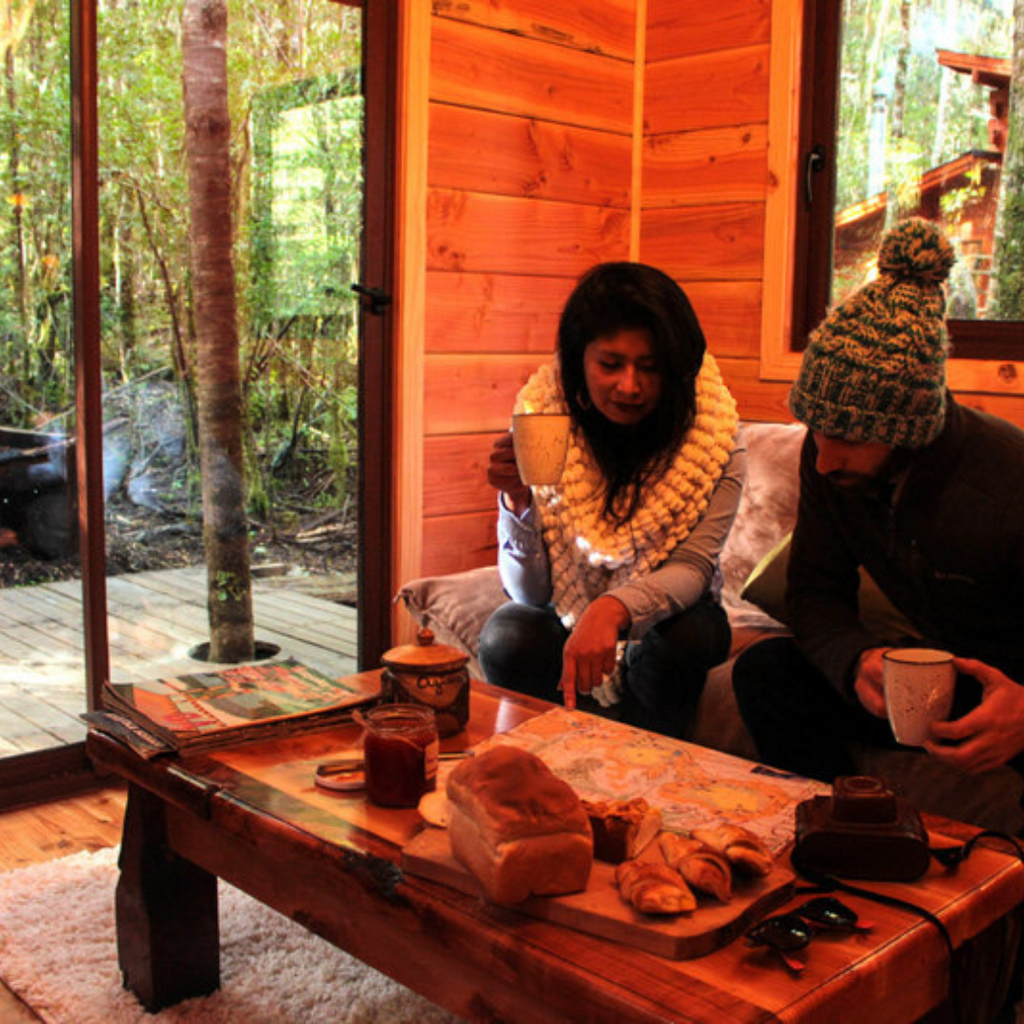 Millennial Forest Cabins, Cabins for 2 people - Coñaripe