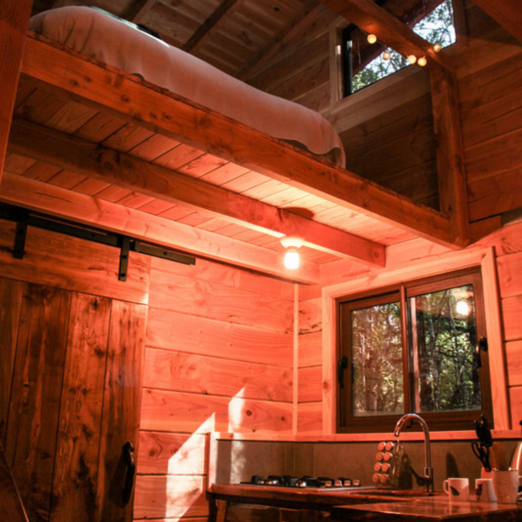 Millennial Forest Cabins, Cabins for 2 people - Coñaripe