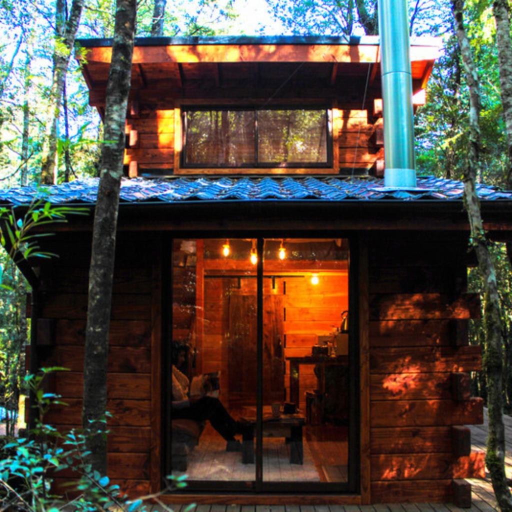 Millennial Forest Cabins, Cabins for 2 people - Coñaripe