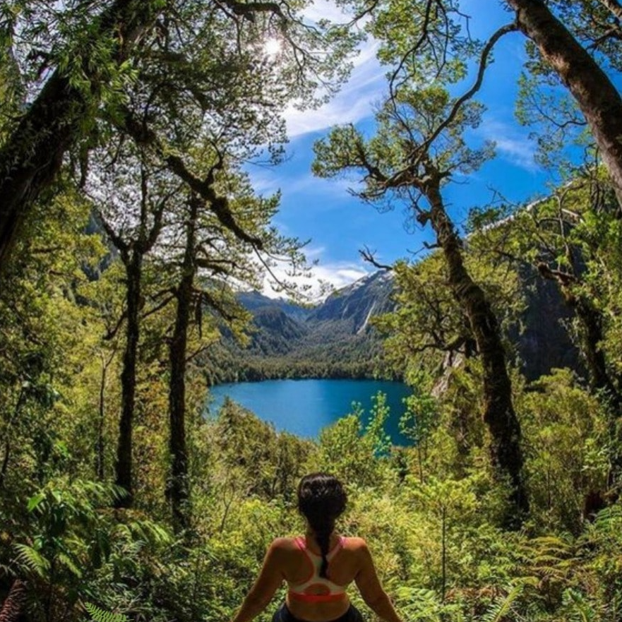 Sendero Laguna Tronador - Parque Pumalín