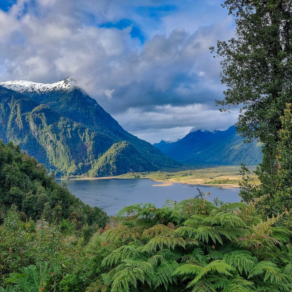 Sendero Laguna Tronador - Parque Pumalín