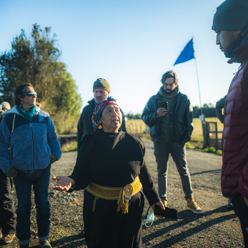 Saberes y experiencia ancestral guiada