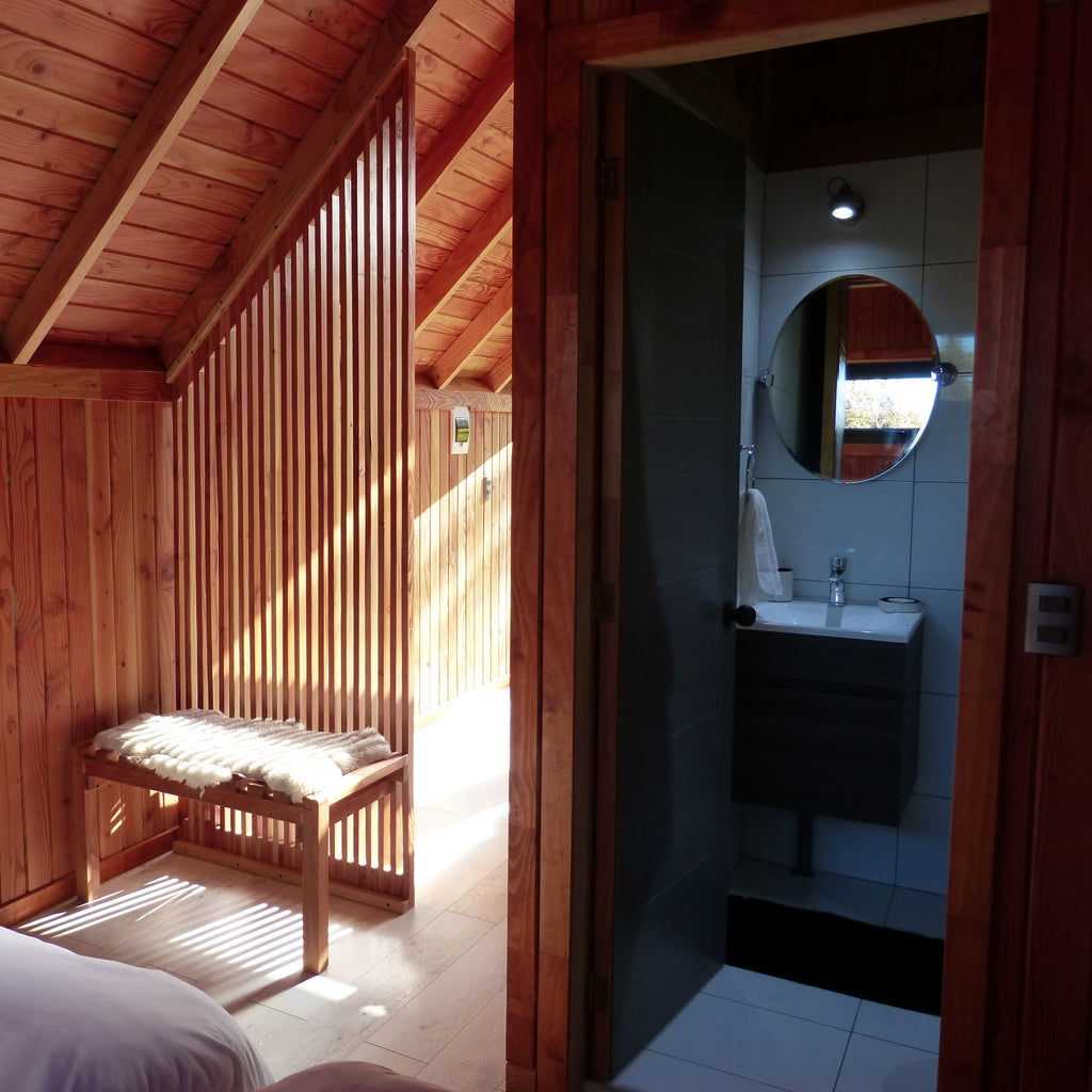 Puerto Octay Volcano Cabin and Tiny House - 2 people