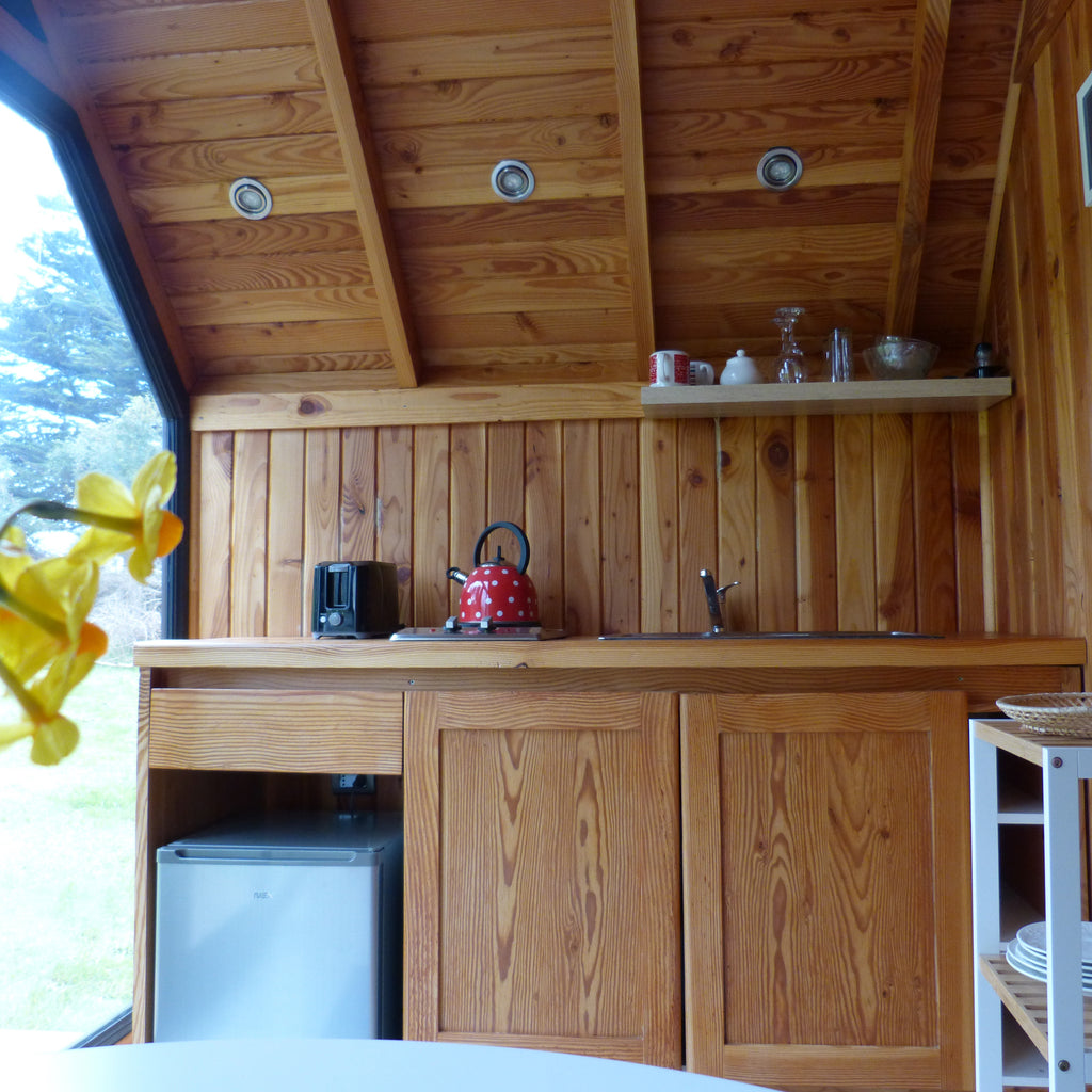 Puerto Octay Volcano Cabin and Tiny House - 2 people