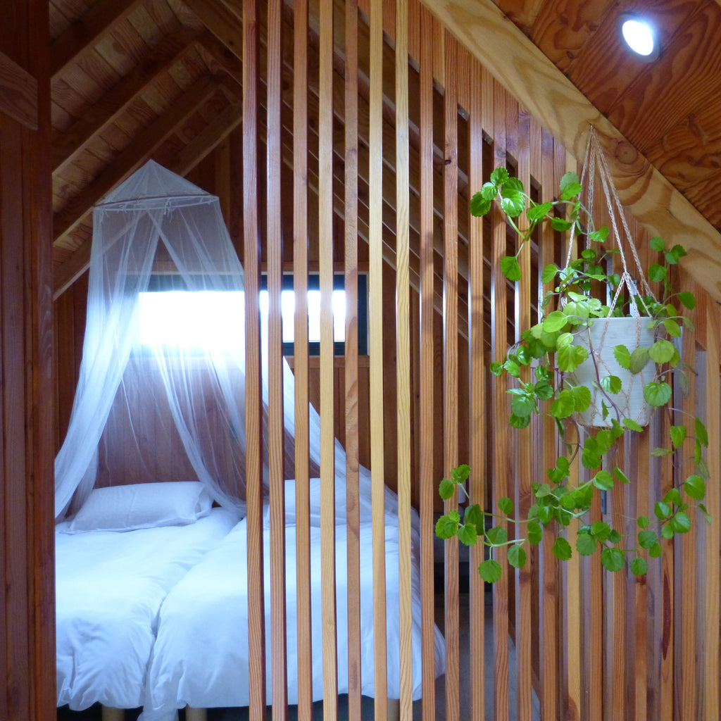 Puerto Octay Volcano Cabin and Tiny House - 2 people