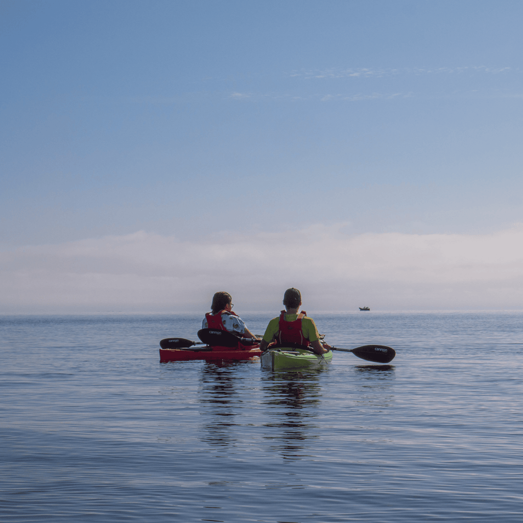 Kayak in the sunken forest of the Maullín River - Maullín Origin Route