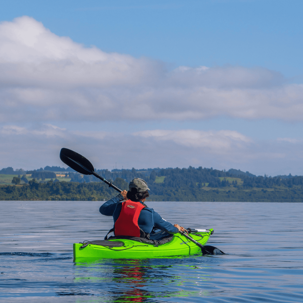 Kayak in the sunken forest of the Maullín River - Maullín Origin Route