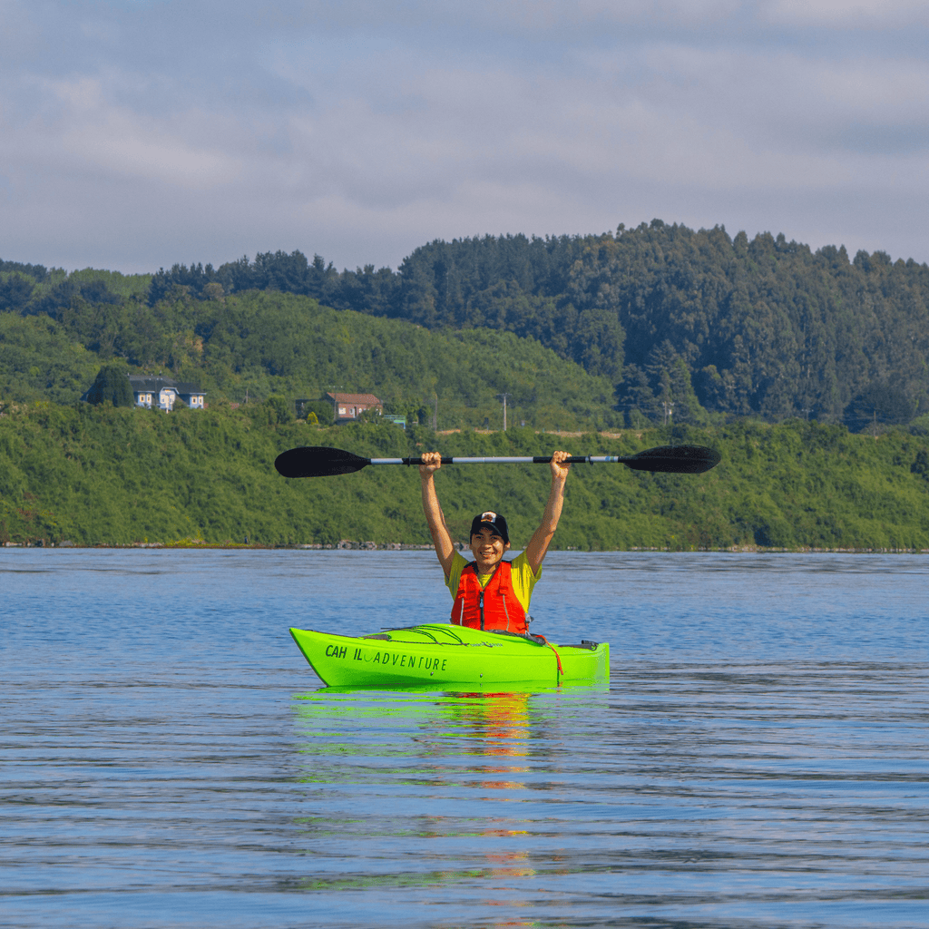 Kayak in the sunken forest of the Maullín River - Maullín Origin Route