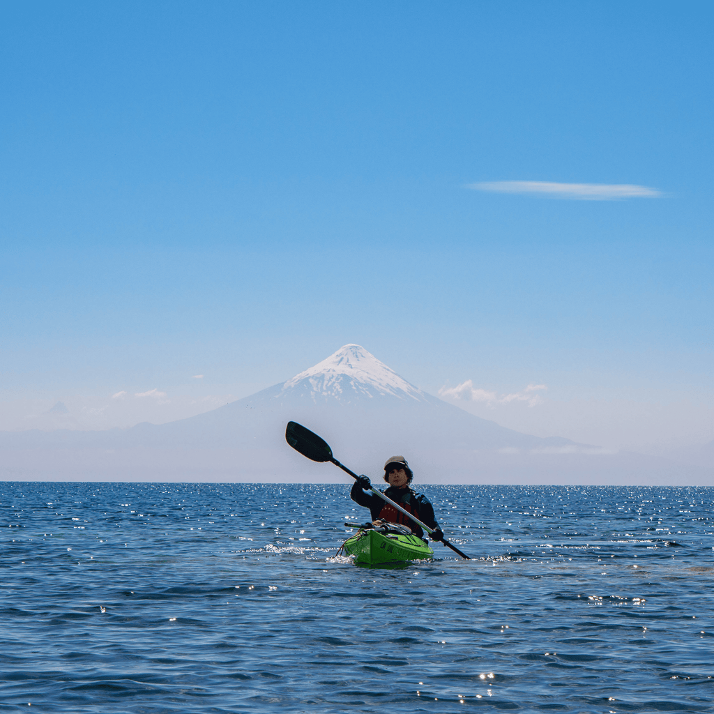 Kayak in the sunken forest of the Maullín River - Maullín Origin Route