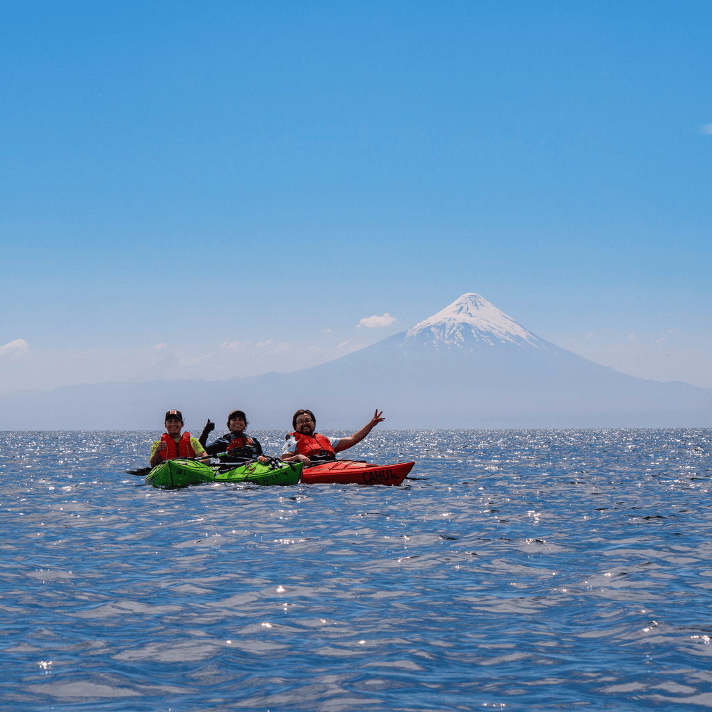Kayak in the sunken forest of the Maullín River - Maullín Origin Route