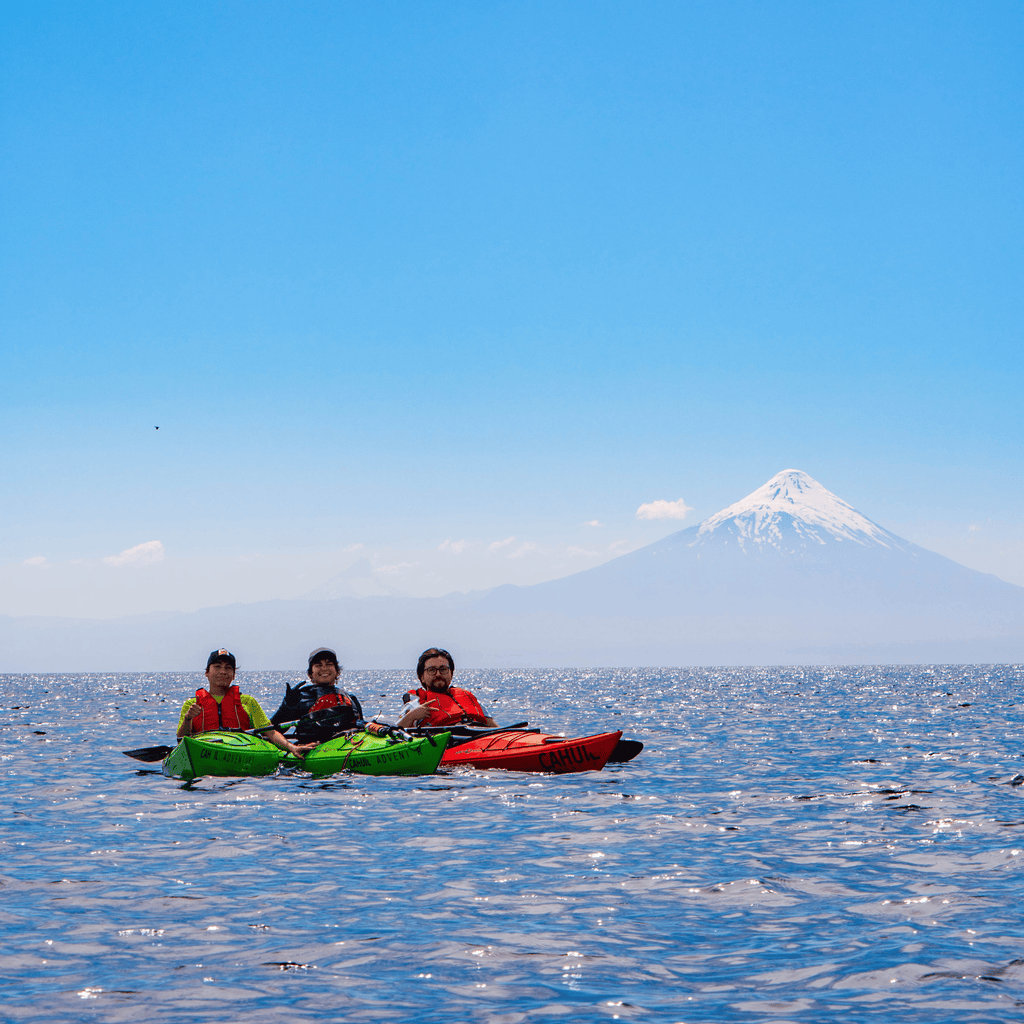 Kayak in the sunken forest of the Maullín River - Maullín Origin Route