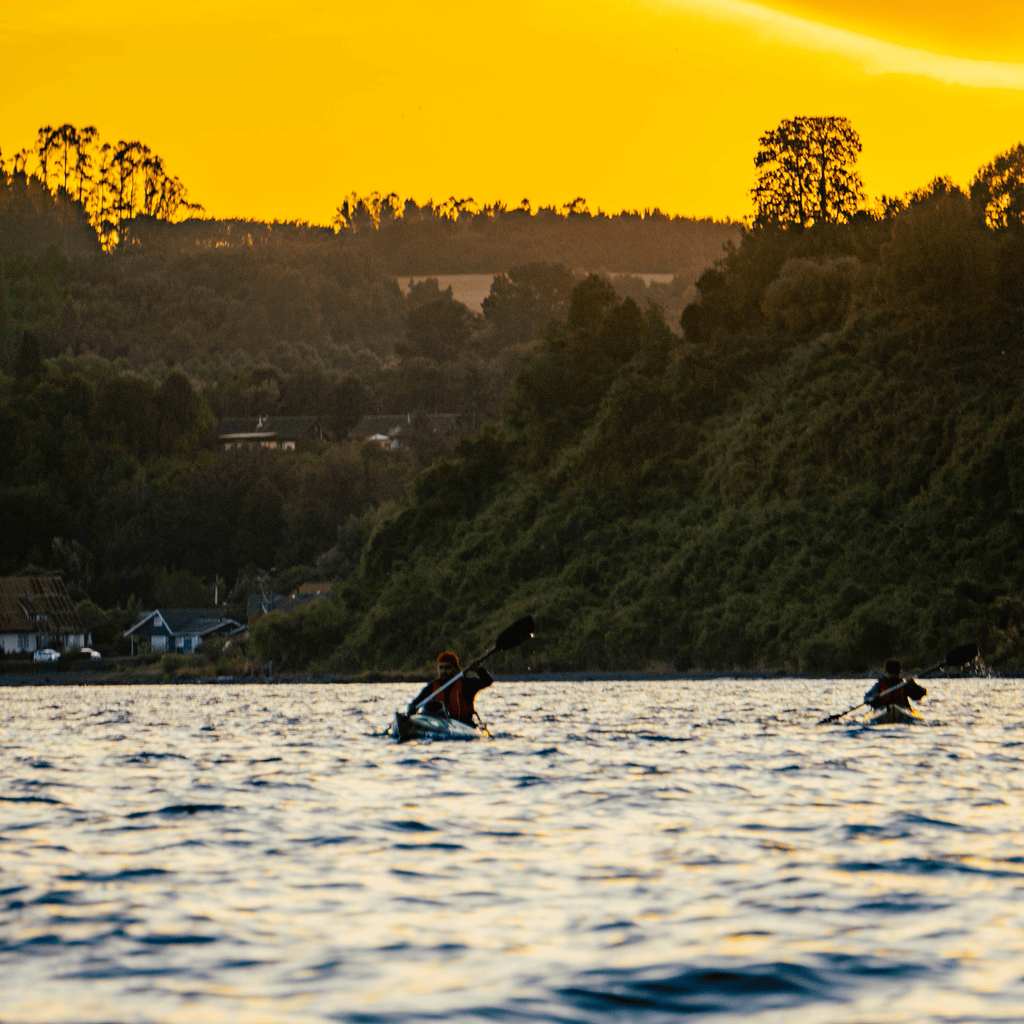 Kayak in the sunken forest of the Maullín River - Maullín Origin Route