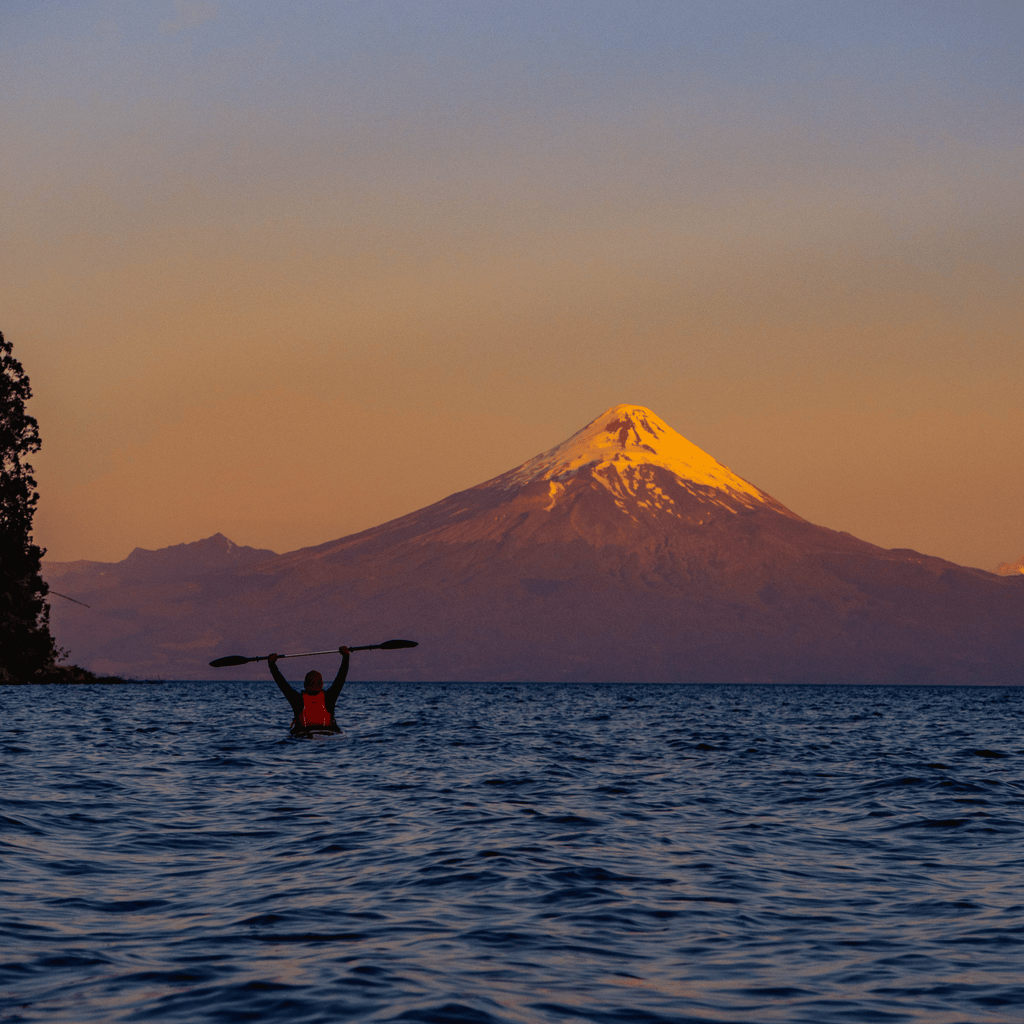 Kayak in the sunken forest of the Maullín River - Maullín Origin Route