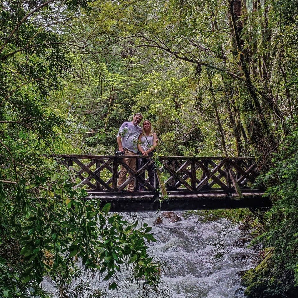 Sendero Mirador y Ranita de Darwin - Parque Pumalín