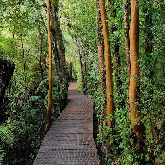 Entradas Termas de Pichicolo