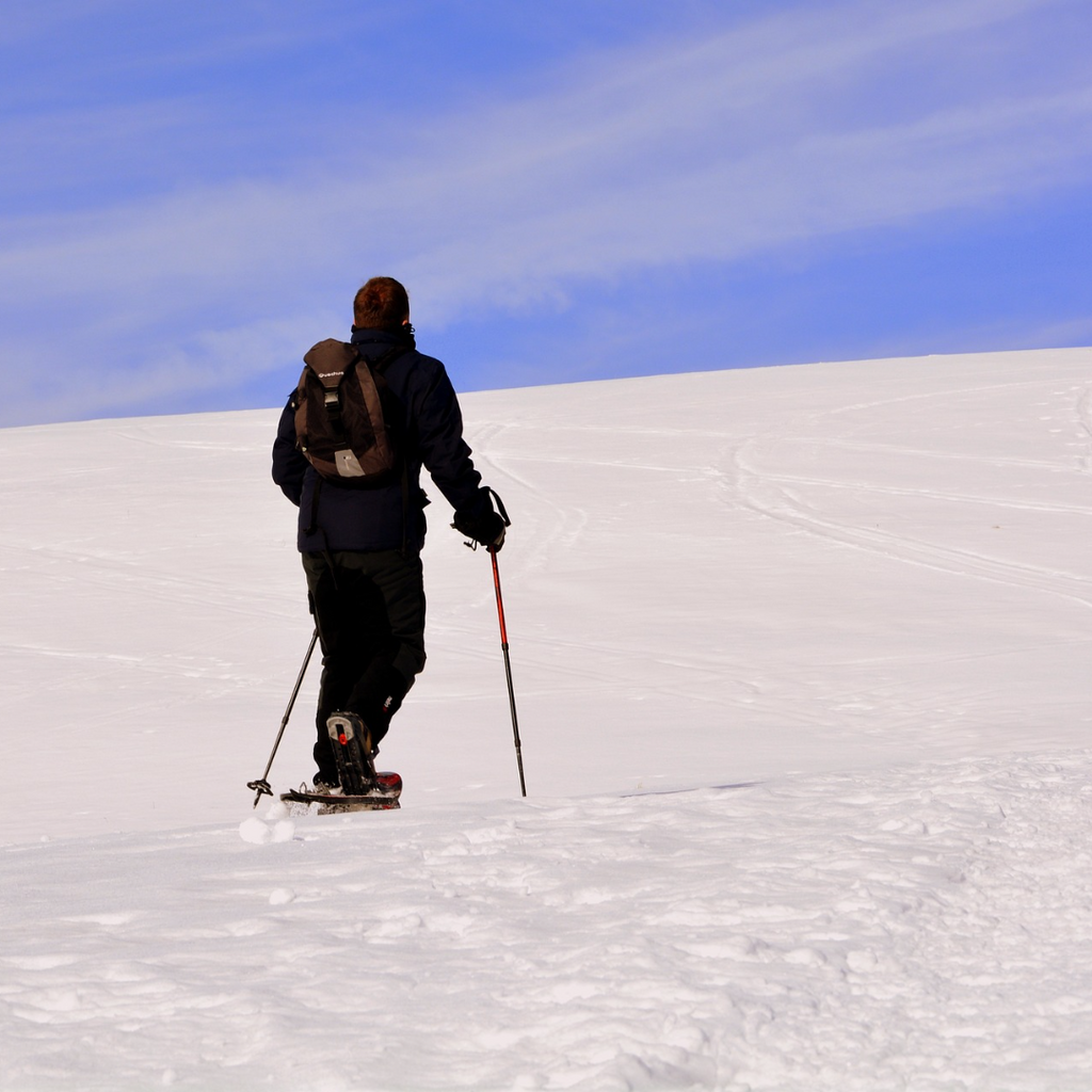 Half Day Trekking en Volcán Osorno con Raquetas para Nieve