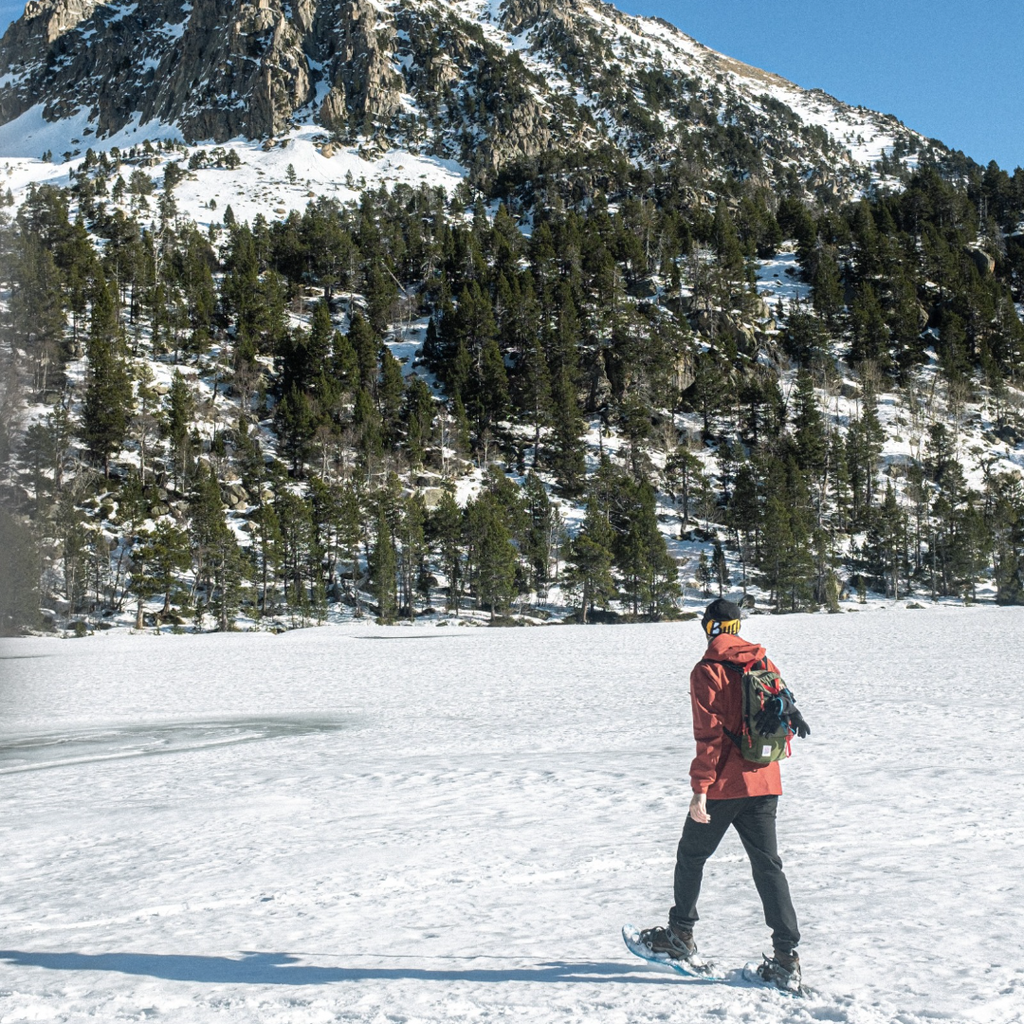 Half Day Trekking en Volcán Osorno con Raquetas para Nieve