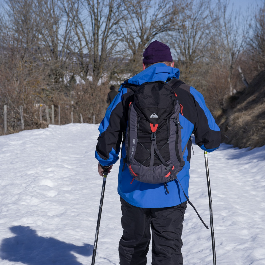 Half Day Trekking en Volcán Osorno con Raquetas para Nieve