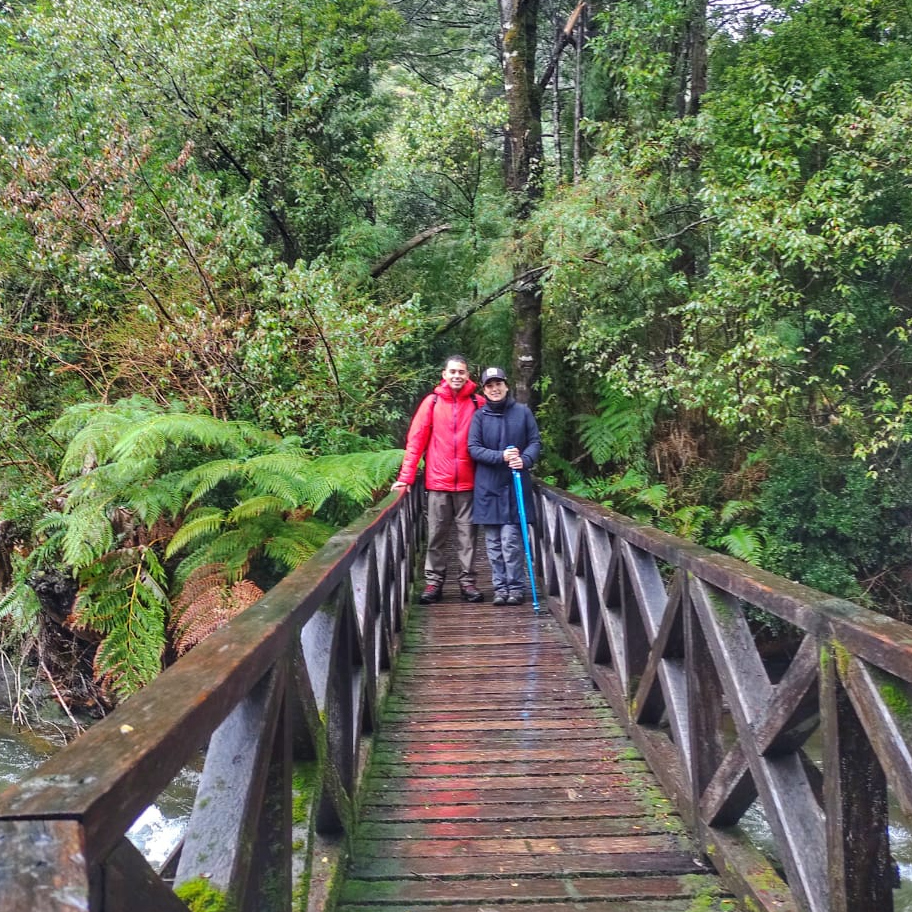 Sendero Mirador y Ranita de Darwin - Parque Pumalín
