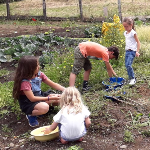 Veranea Huerteando (Infantil) - Mínimo 2 personas