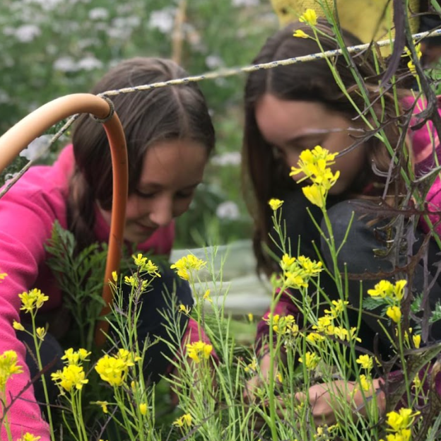 Veranea Huerteando (Infantil) - Mínimo 2 personas