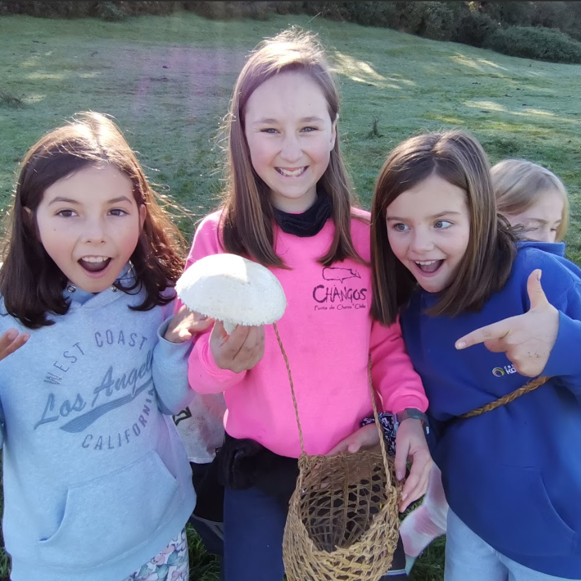 Bombas de alegría - Mínimo 5 personas