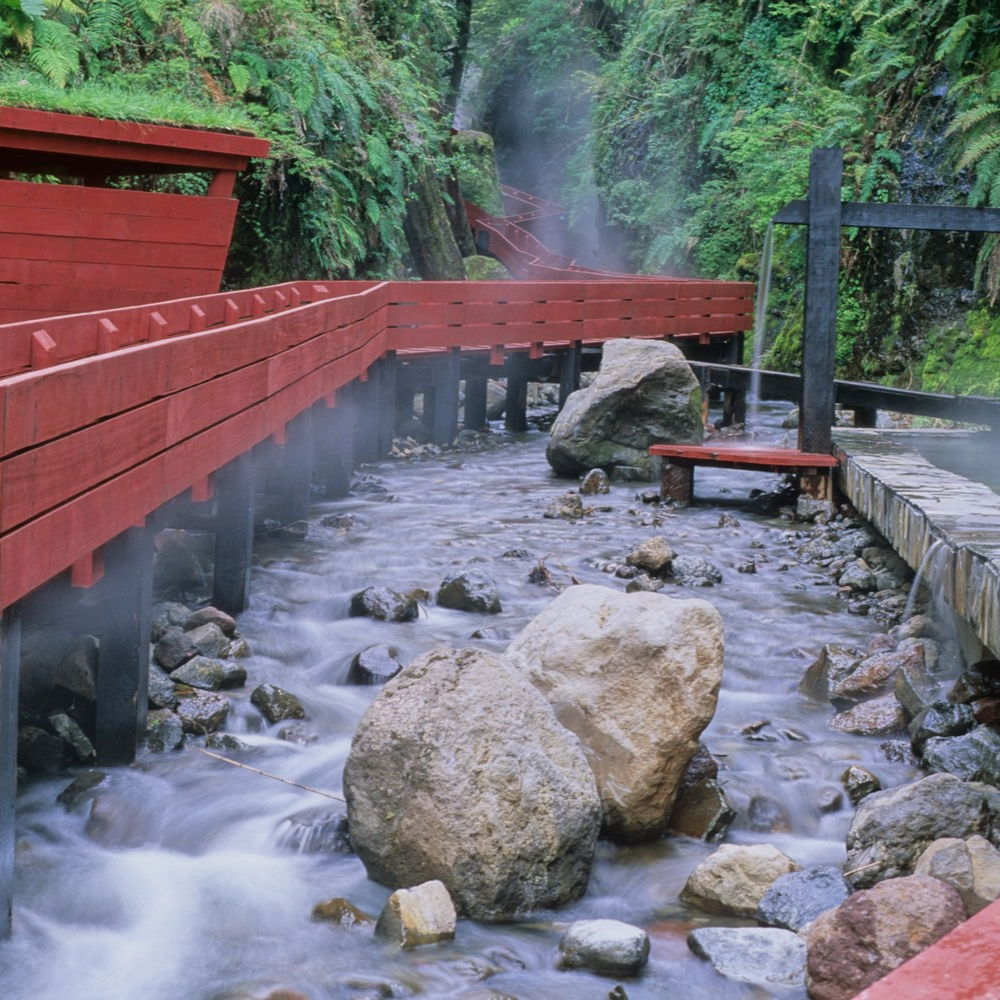 Tour Termas Geométricas- Pucón