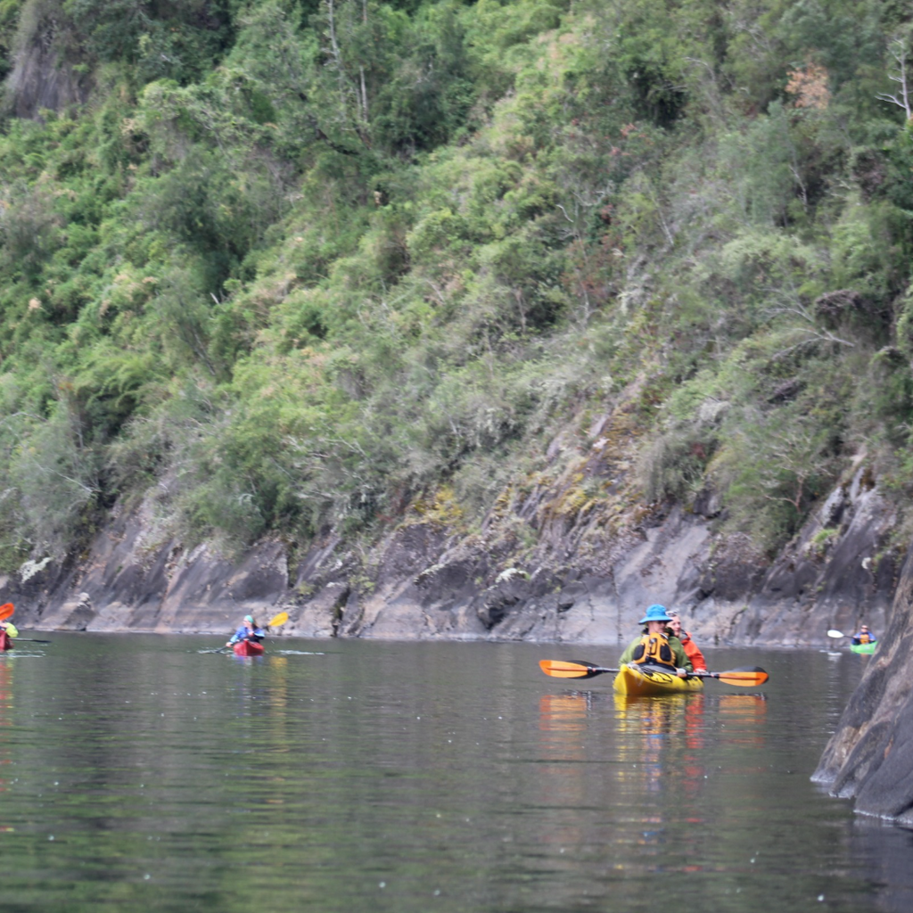 Full day Kayak en Lago Maihue y Río Huainahue - Mínimo 6 personas