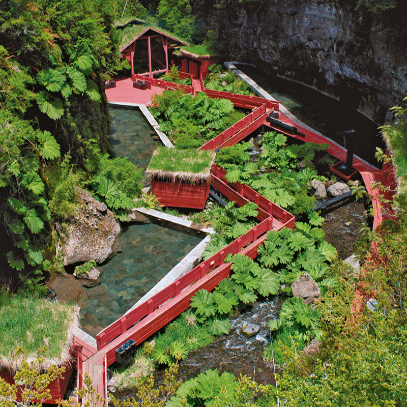 Tour Termas Geométricas- Pucón