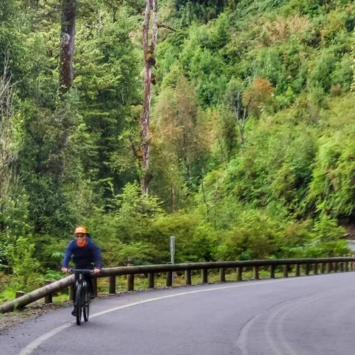 Bike Tour - Parque Pumalín
