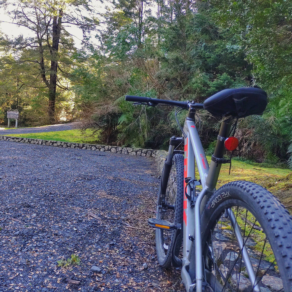 Bike Tour - Parque Pumalín