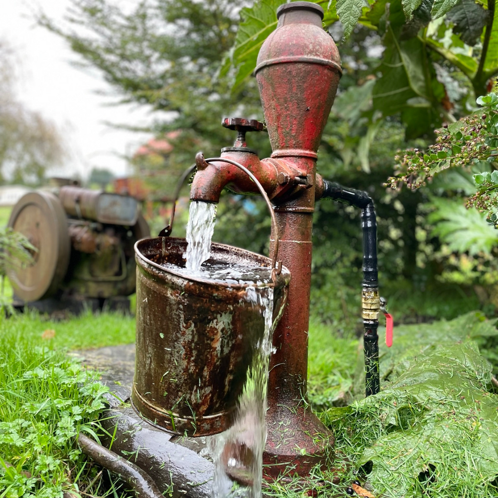 Cabaña Las Vertientes (4 personas) - Lago Rupanco