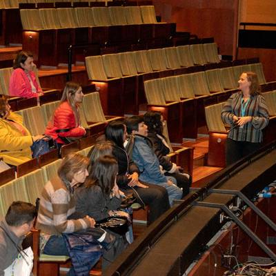 Medio día en Frutillar: Paseo Histórico, Tour Teatro del Lago y  Almuerzo