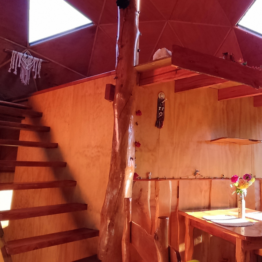 Domo Vive Pellaifa (2 personas) - Lago Pellaifa