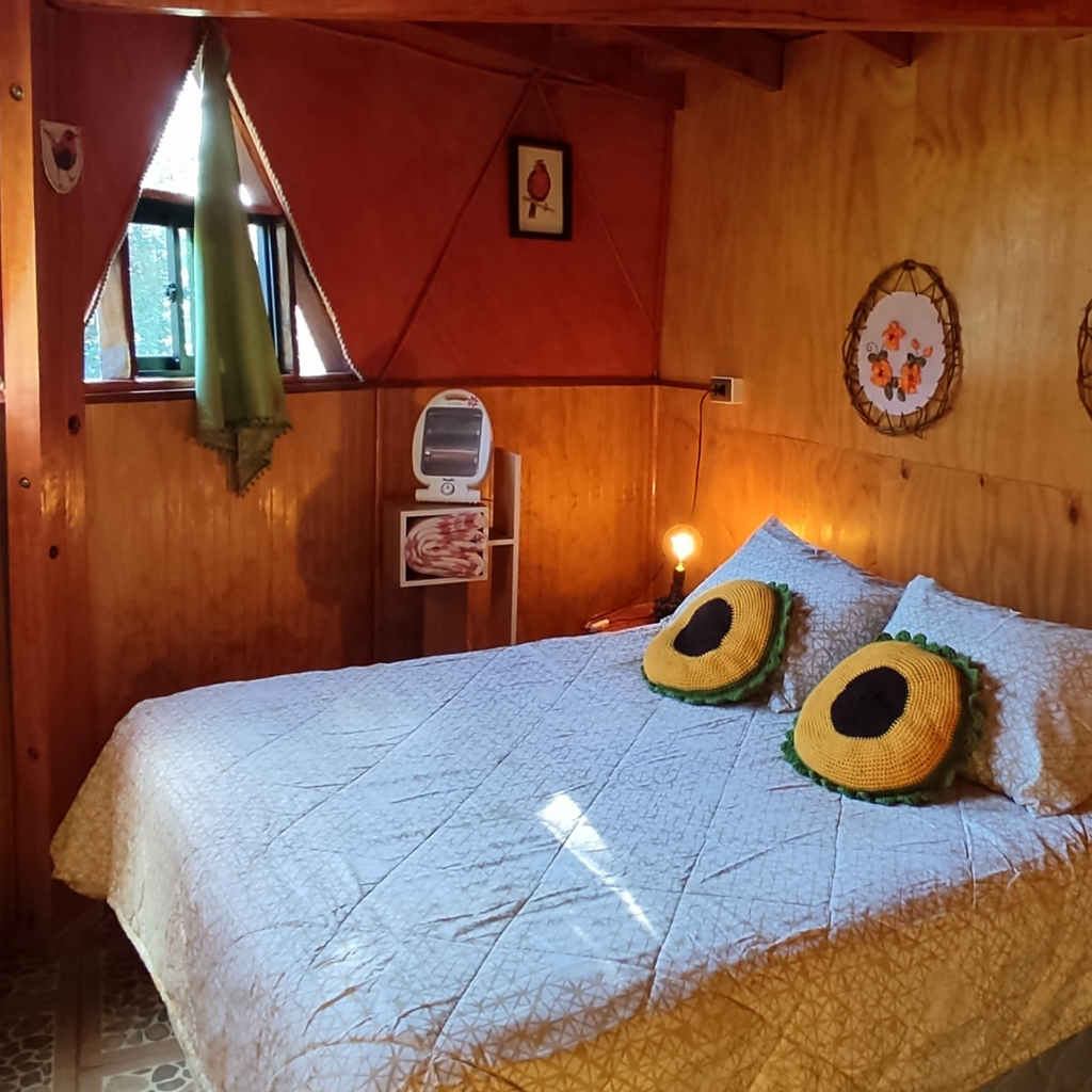 Domo Vive Pellaifa (2 personas) - Lago Pellaifa