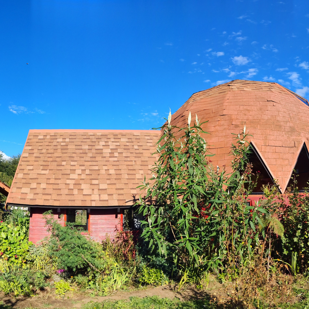 Domo Vive Pellaifa (2 personas) - Lago Pellaifa