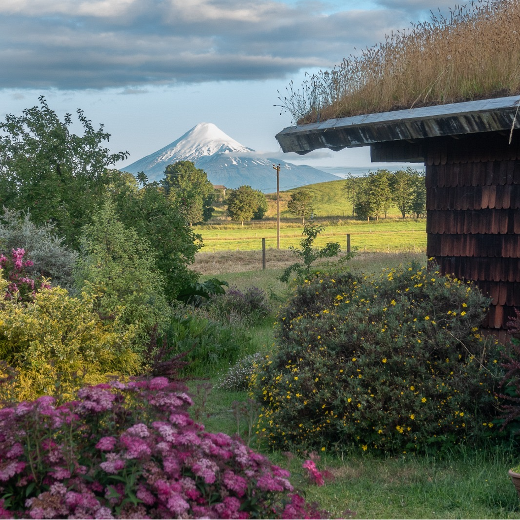 Family room - Yellow Shoe B&B, Puerto Octay