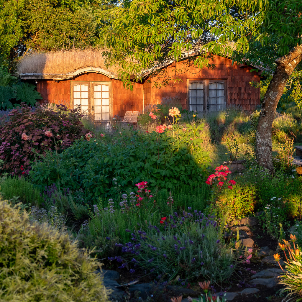 Family room - Yellow Shoe B&B, Puerto Octay